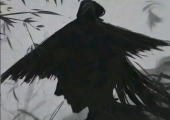 测试