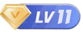 等级-LV11 - 技术侠
